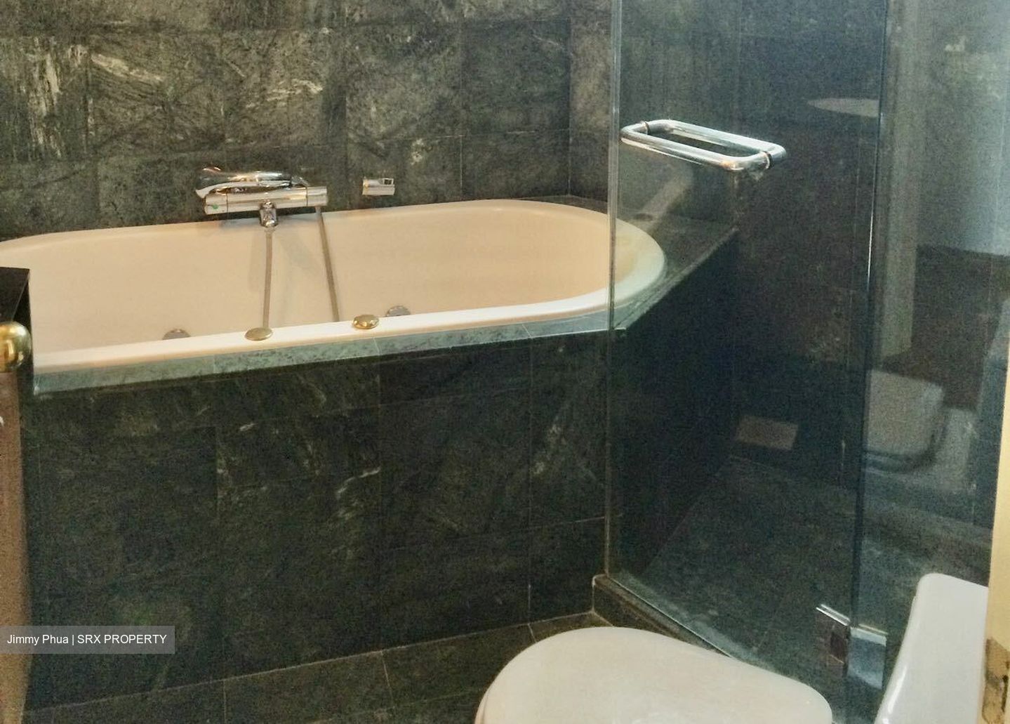 Crystal Rhu (D15), Apartment #392080761